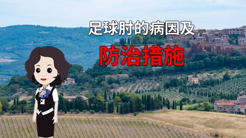 足球肘的病因及防治措施 动画制作软件有哪些