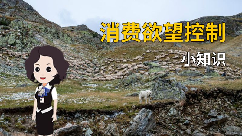 消费欲望控制小知识 动画制作软件有哪些