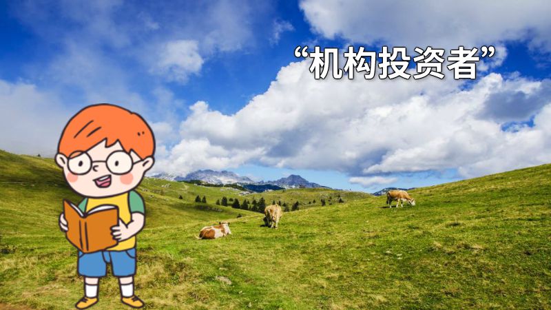 “机构投资者” 动画制作软件有哪些