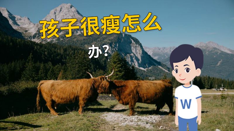 孩子很瘦怎么办？ 动画制作软件有哪些