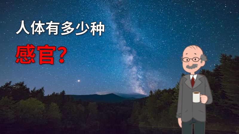 人体有多少种感官？ 动画制作软件有哪些