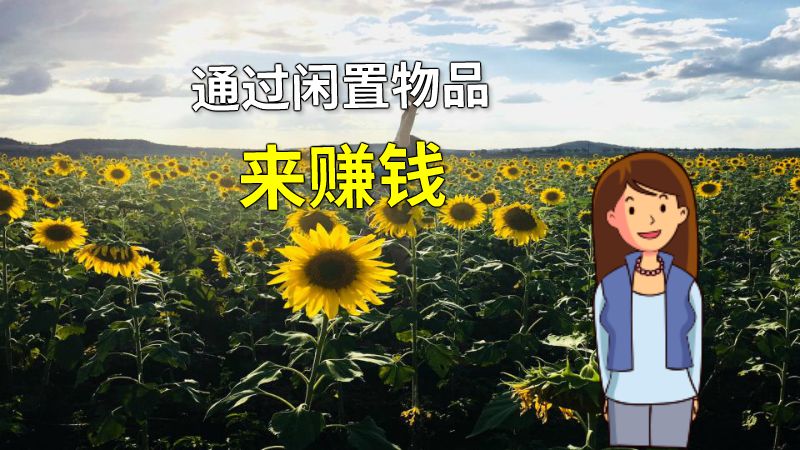 通过闲置物品来赚钱 动画制作软件有哪些