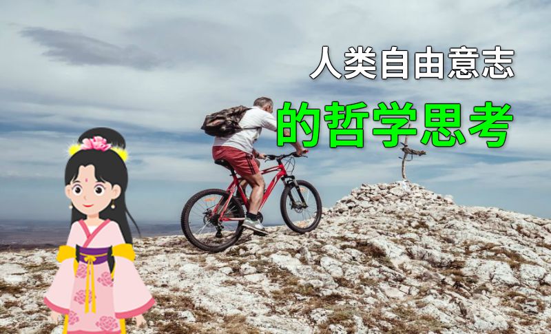 人类自由意志的哲学思考 动画制作软件有哪些