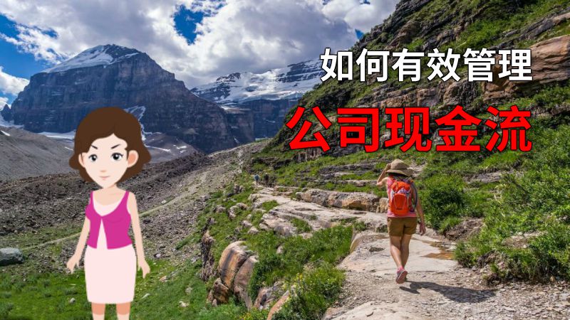 如何有效管理公司现金流 动画制作软件有哪些