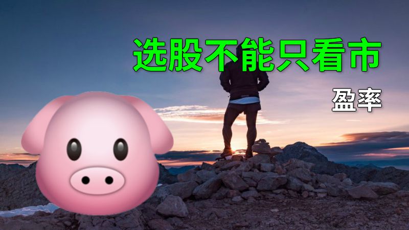 选股不能只看市盈率 动画制作软件有哪些