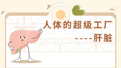 人体的超级工厂-肝脏12028 动画制作软件有哪些