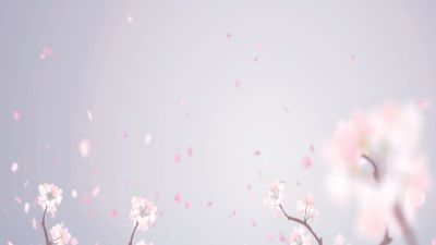 职务发明制度详解.am 动画制作软件有哪些