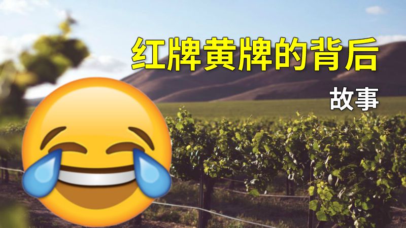 红牌黄牌的背后故事 动画制作软件有哪些
