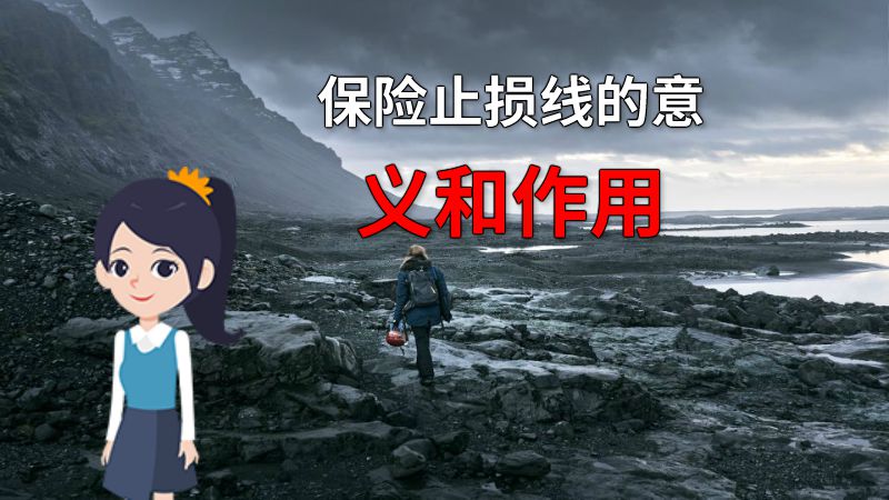 保险止损线的意义和作用 动画制作软件有哪些