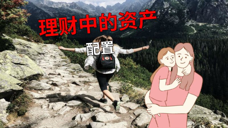 理财中的资产配置 动画制作软件有哪些