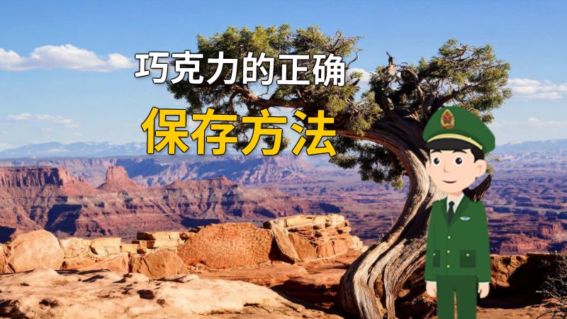 巧克力的正确保存方法 动画制作软件有哪些