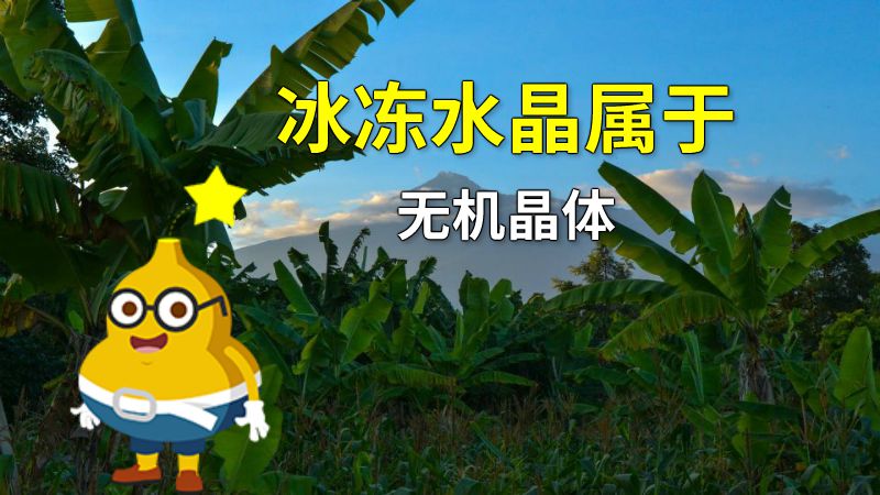 冰冻水晶属于无机晶体 动画制作软件有哪些