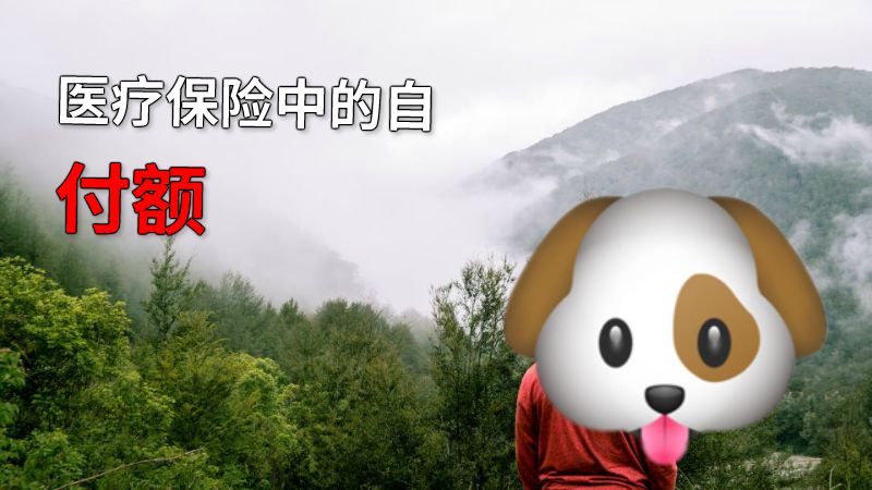 医疗保险中的自付额 动画制作软件有哪些