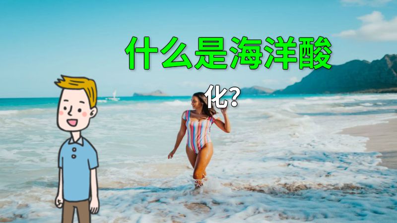 什么是海洋酸化？ 动画制作软件有哪些