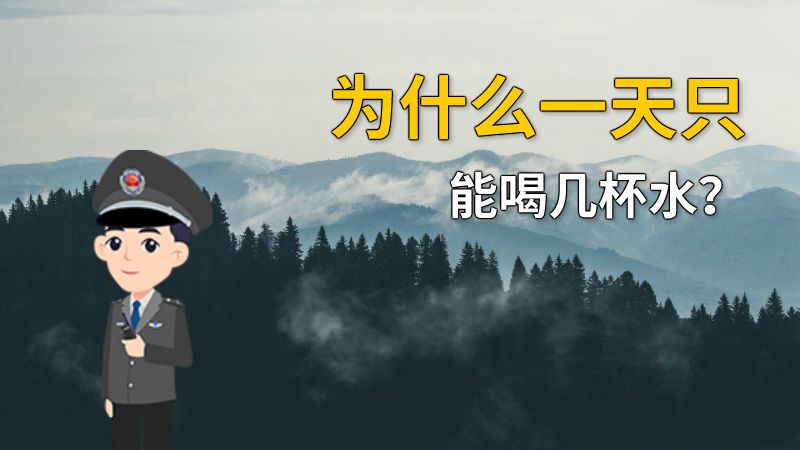 为什么一天只能喝几杯水？ 动画制作软件有哪些