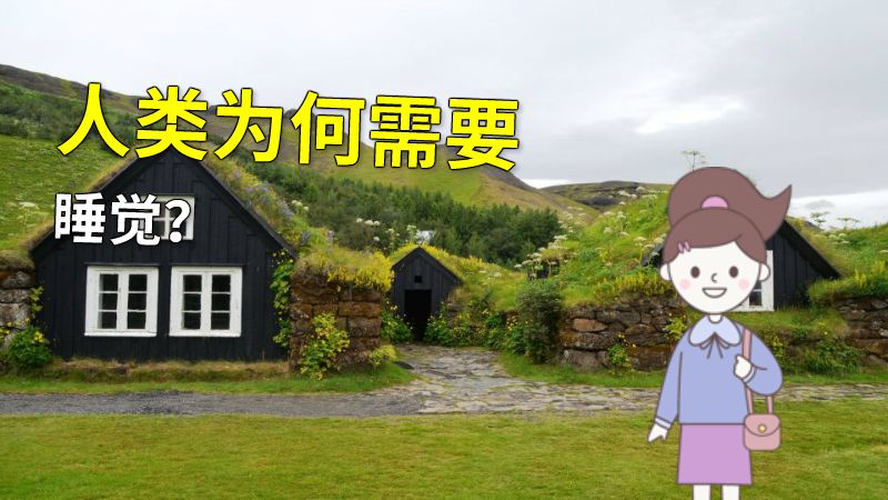人类为何需要睡觉？ 动画制作软件有哪些