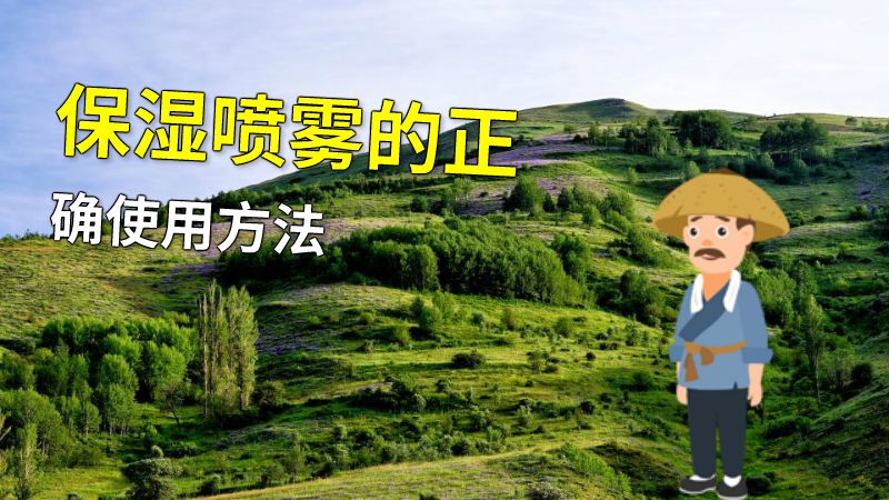 保湿喷雾的正确使用方法 动画制作软件有哪些
