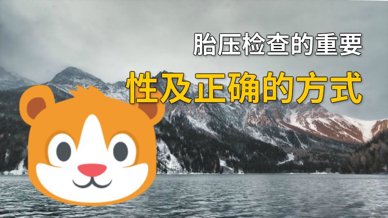 胎压检查的重要性及正确的方式 动画制作软件有哪些