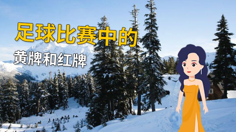 足球比赛中的黄牌和红牌 动画制作软件有哪些