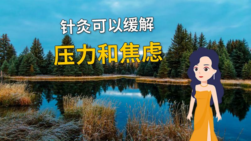 针灸可以缓解压力和焦虑 动画制作软件有哪些