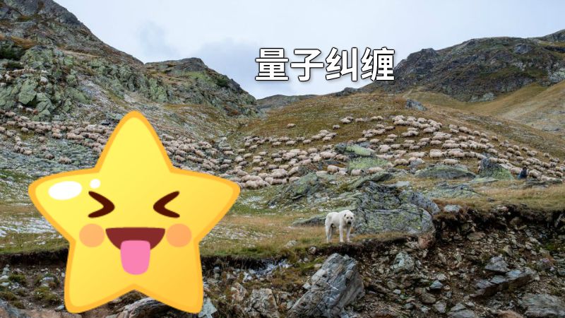 量子纠缠 动画制作软件有哪些