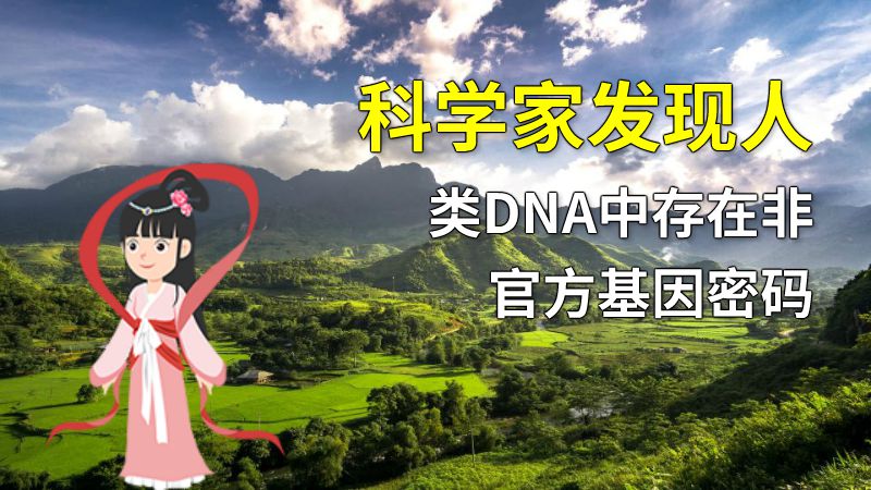 科学家发现人类DNA中存在非官方基因密码 动画制作软件有哪些
