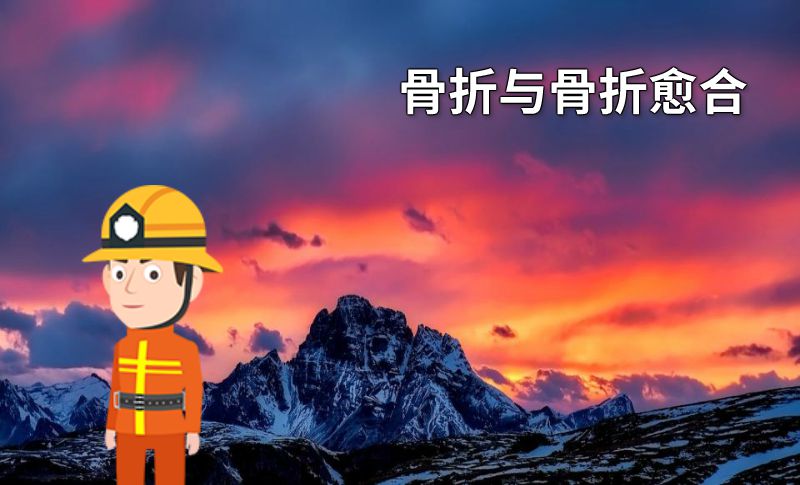 骨折与骨折愈合 动画制作软件有哪些