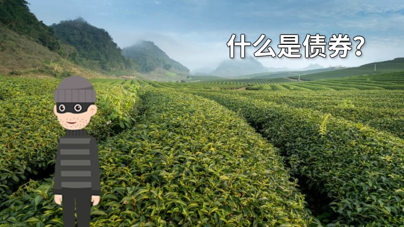 什么是债券？ 动画制作软件有哪些