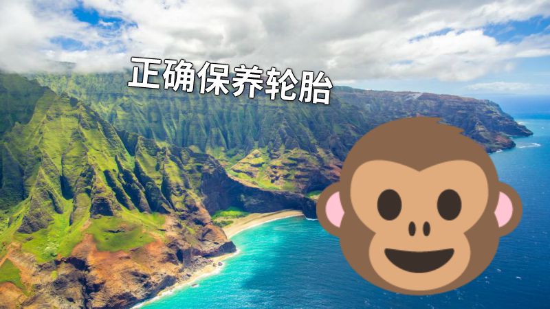 正确保养轮胎 动画制作软件有哪些