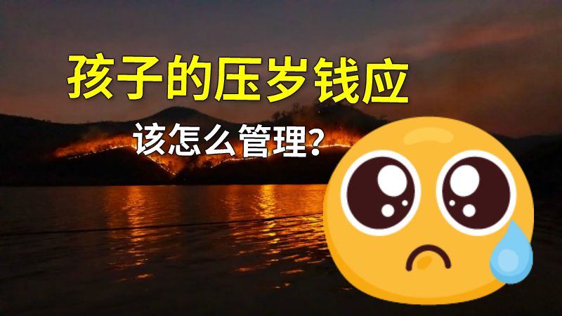 孩子的压岁钱应该怎么管理？ 动画制作软件有哪些