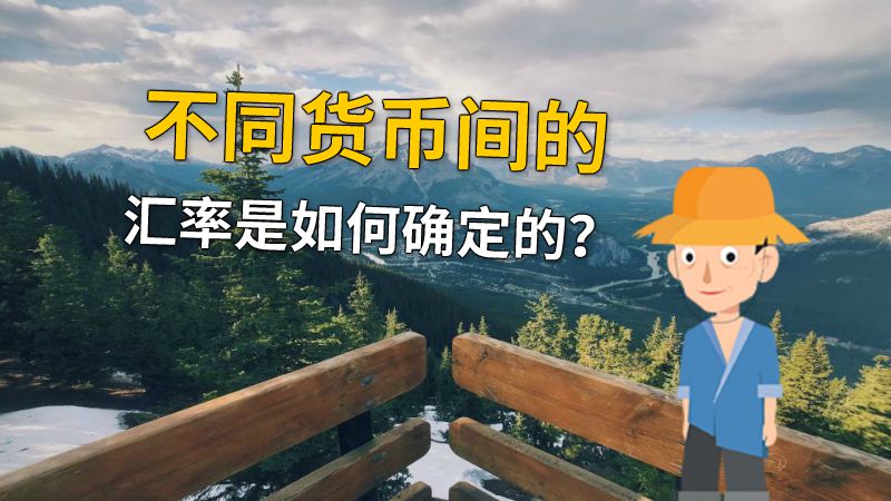 不同货币间的汇率是如何确定的？ 动画制作软件有哪些