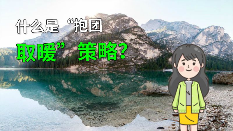 什么是“抱团取暖”策略？ 动画制作软件有哪些