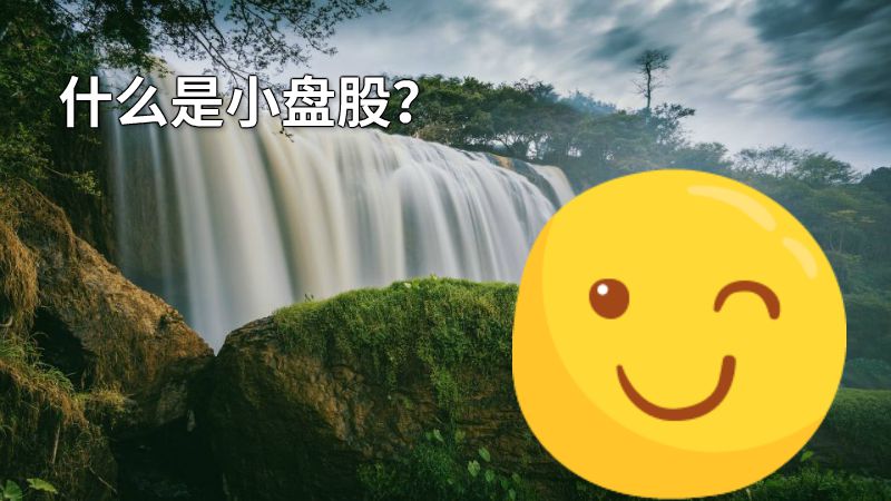 什么是小盘股？ 动画制作软件有哪些