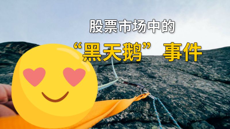 股票市场中的“黑天鹅”事件 动画制作软件有哪些
