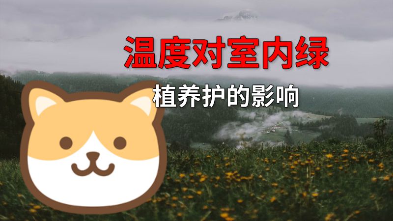 温度对室内绿植养护的影响 动画制作软件有哪些