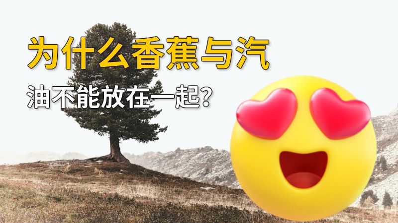为什么香蕉与汽油不能放在一起？ 动画制作软件有哪些