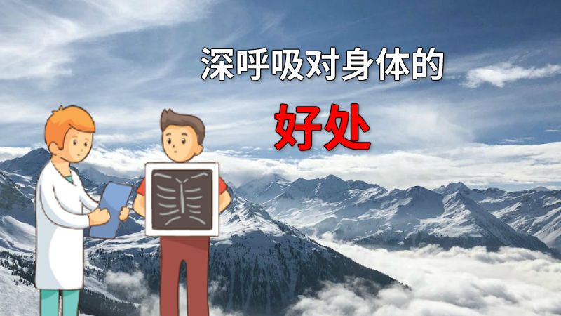 深呼吸对身体的好处 动画制作软件有哪些