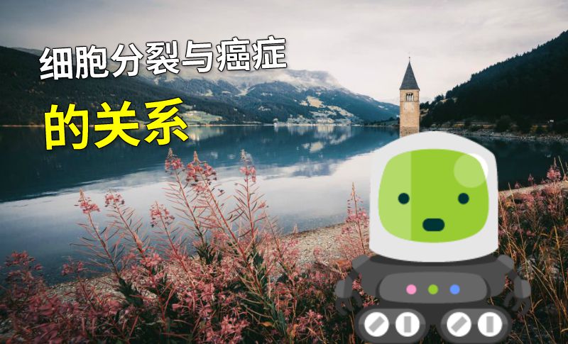 细胞分裂与癌症的关系 动画制作软件有哪些