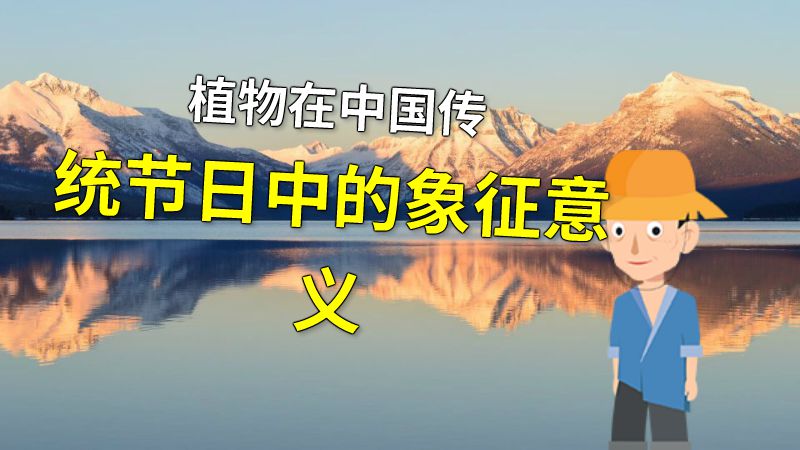 植物在中国传统节日中的象征意义 动画制作软件有哪些