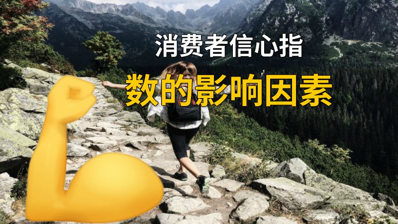 消费者信心指数的影响因素 动画制作软件有哪些