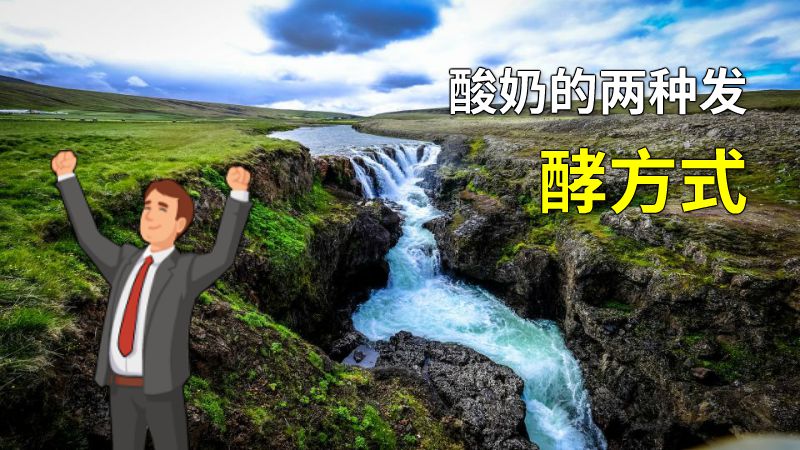 酸奶的两种发酵方式 动画制作软件有哪些