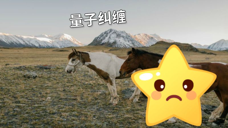 量子纠缠 动画制作软件有哪些