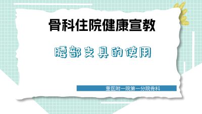 腰部支具.am 动画制作软件有哪些