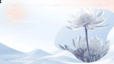 看，生命如此可爱.am 动画制作软件有哪些