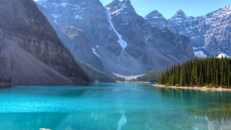 七一建党节，党的知识知多少？ 动画制作软件有哪些