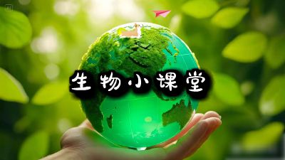 片头 动画制作软件有哪些