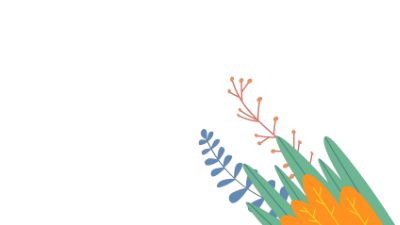 老年心理问题.am 动画制作软件有哪些