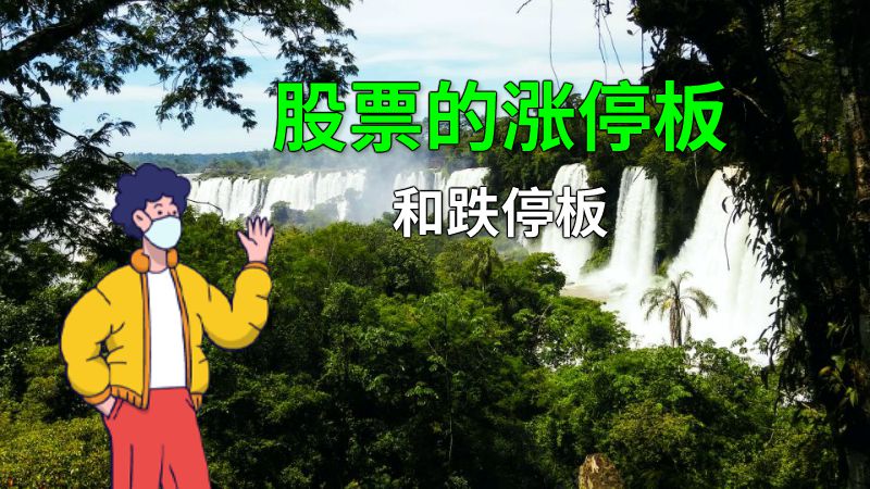 股票的涨停板和跌停板 动画制作软件有哪些