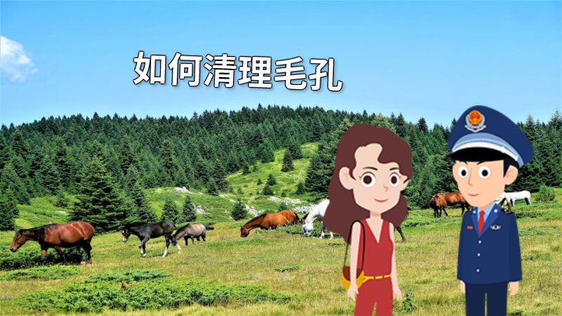 如何清理毛孔 动画制作软件有哪些
