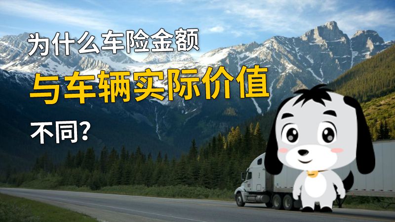 为什么车险金额与车辆实际价值不同？ 动画制作软件有哪些